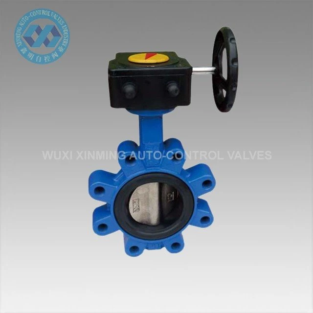 Lug Butterfly Valve with gear box