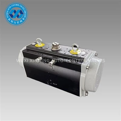 ตัวกระตุ้นนิวแมติกอะโนไดซ์